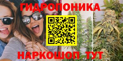 a pvp Шелехов