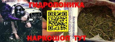 прущие грибы Чебаркуль
