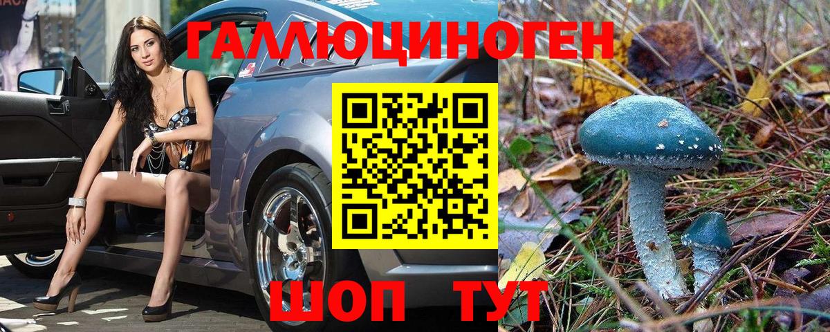 Галлюциногенные грибы Psilocybine cubensis  Вход с VPN  Куйбышев 